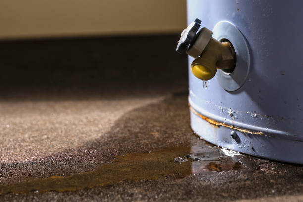 Best Flood restoration services  in Crestwood, IL