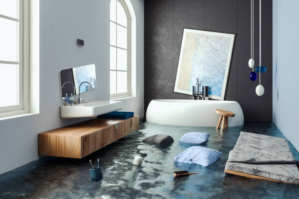 Best Mold removal after water damage  in Crestwood, IL
