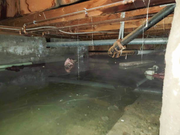 Best Commercial water damage restoration  in Crestwood, IL