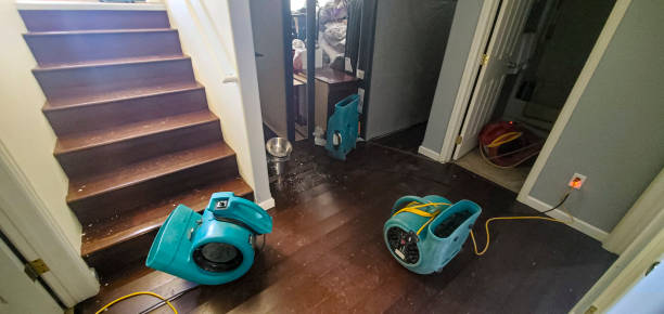 Best Ceiling water damage repair  in Crestwood, IL