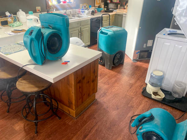 Best Residential water damage restoration  in Crestwood, IL