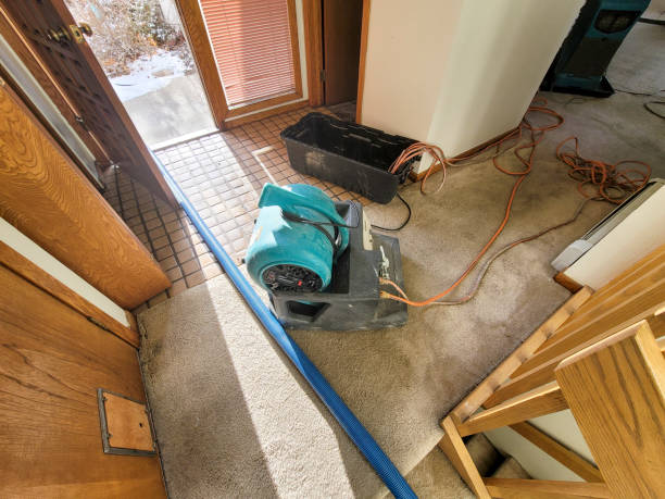 Best Basement water damage restoration  in Crestwood, IL