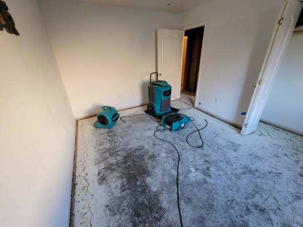 Best Basement water damage restoration  in Crestwood, IL