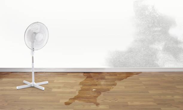 Best Water damage repair service  in Crestwood, IL