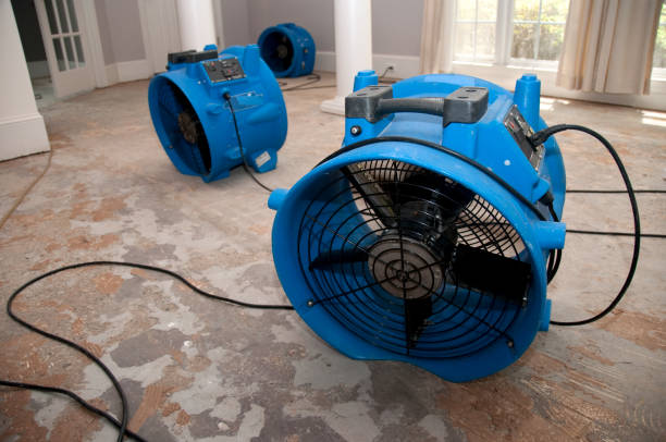Best Flood damage cleanup  in Crestwood, IL