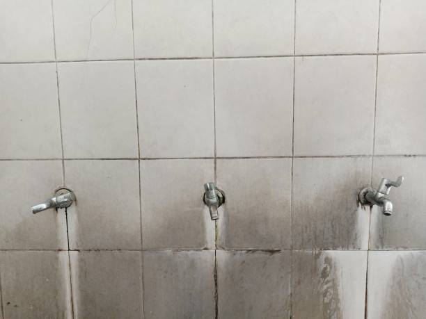 24/7 water damage repair in Crestwood, IL